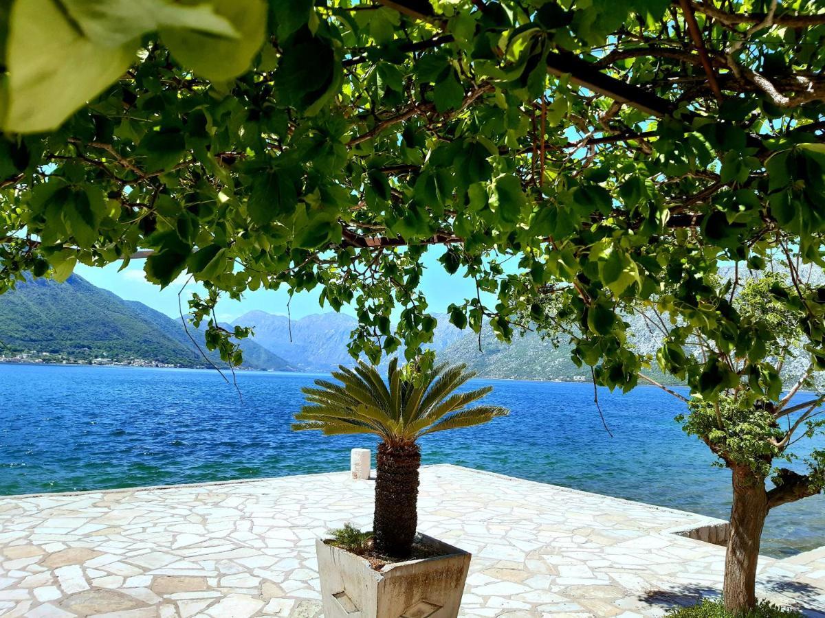 Apartments Sonja Kotor Exterior photo